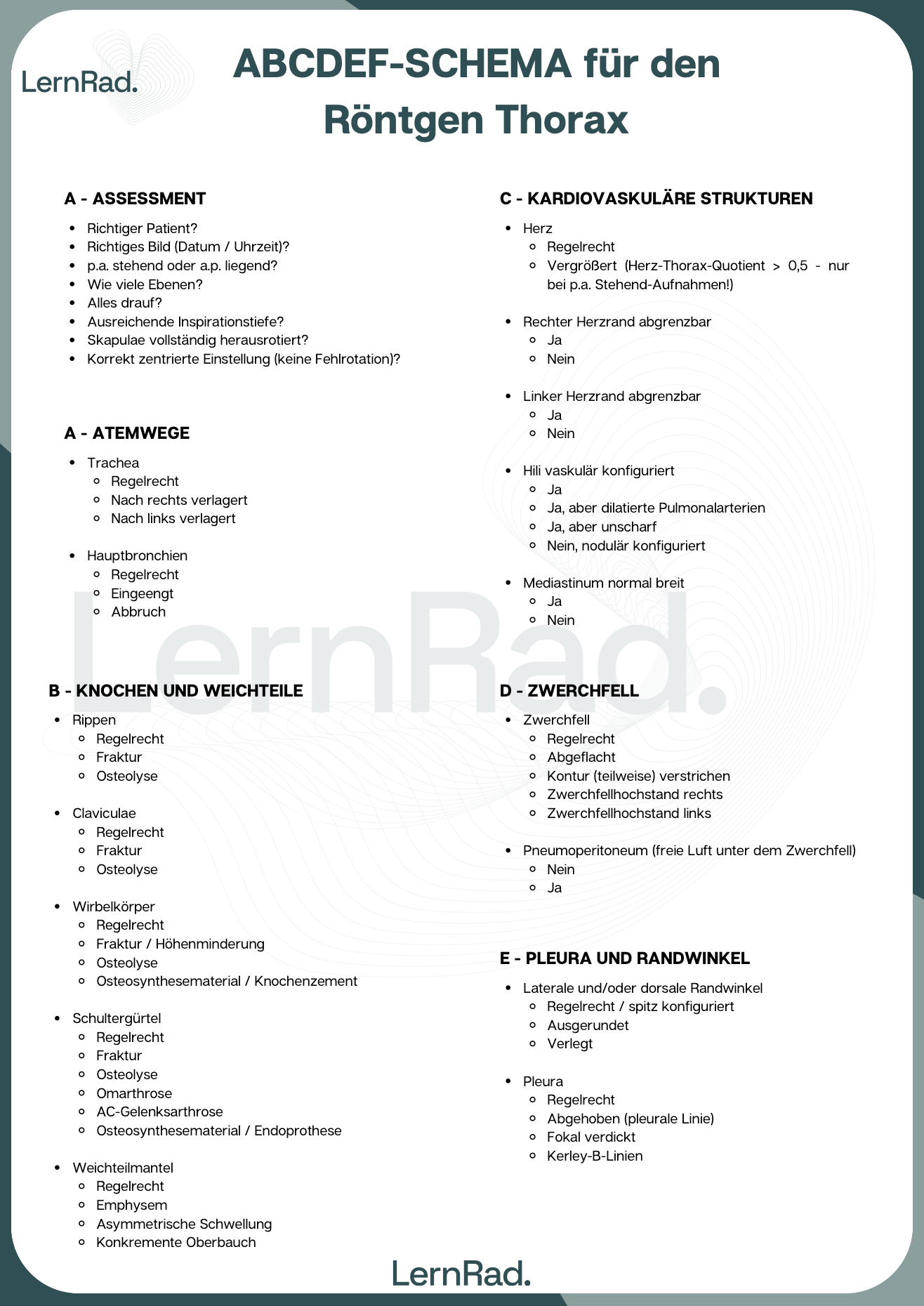 ABCDEF-Schema für den Röntgen-Thorax